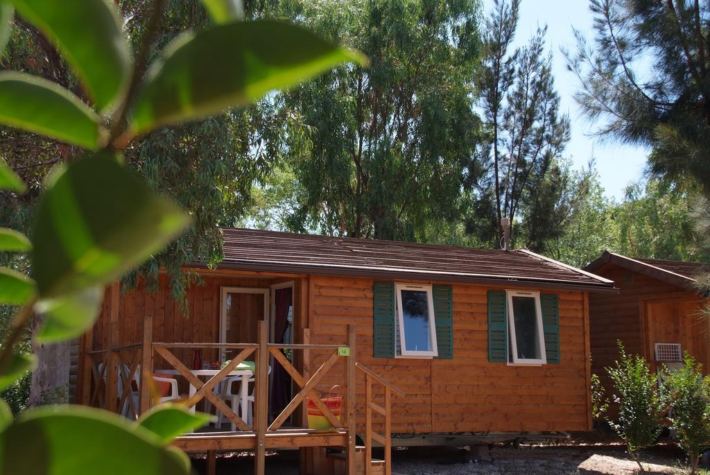 Camping Les Palmiers Hyères Quarto foto